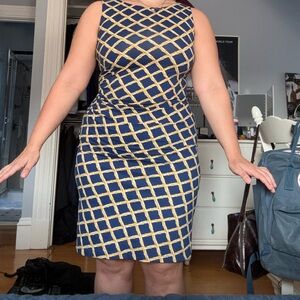 J. McLaughlin summer patterned midi dress